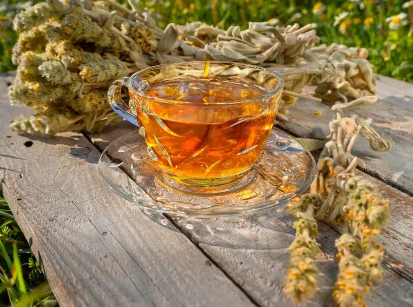 Tento čaj pije velmi málo lidí, což je škoda. Dělá zázraky se žaludkem a rozhozenými nervy.