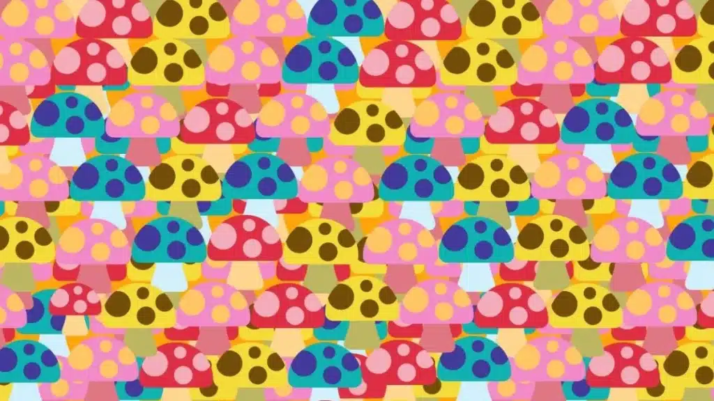 Vizuální hádanka: pokud jste chytrý člověk, dokážete najít schovanou myš za méně než 30 sekund.