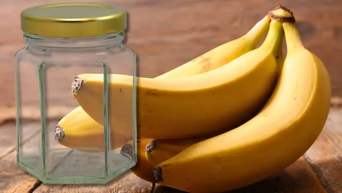 Jak uchovat banány žluté a pevné po dobu dvou týdnů