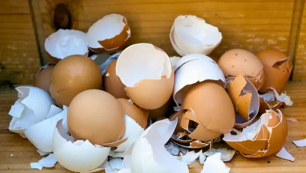 Pokud máte doma vaječné skořápky, máte v rukou skutečný poklad: k čemu a jak je použít?