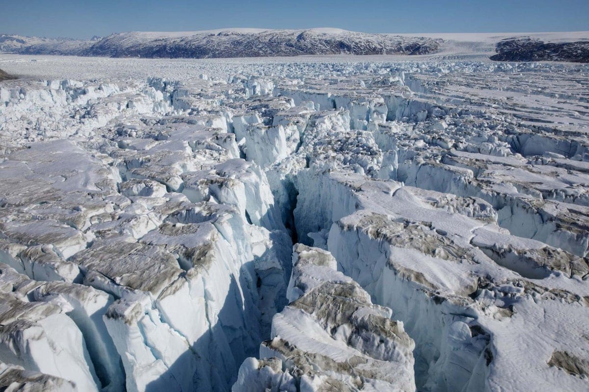 Vědci byli šokováni: v Grónsku byly objeveny pozůstatky jednoho z nejprimitivnějších savců.