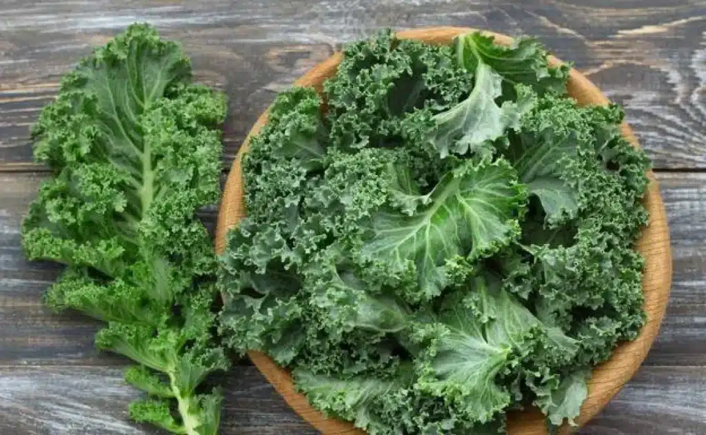 Málokdo ví o kapustě kale, která má úžasné vlastnosti a je prospěšná pro zdraví.