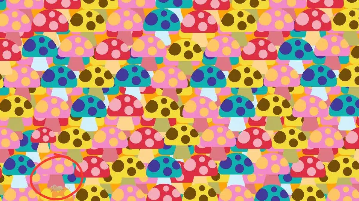 Vizuální hádanka: pokud jste chytrý člověk, dokážete najít schovanou myš za méně než 30 sekund.